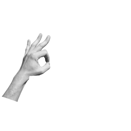 Orchestra Improvvisata APS